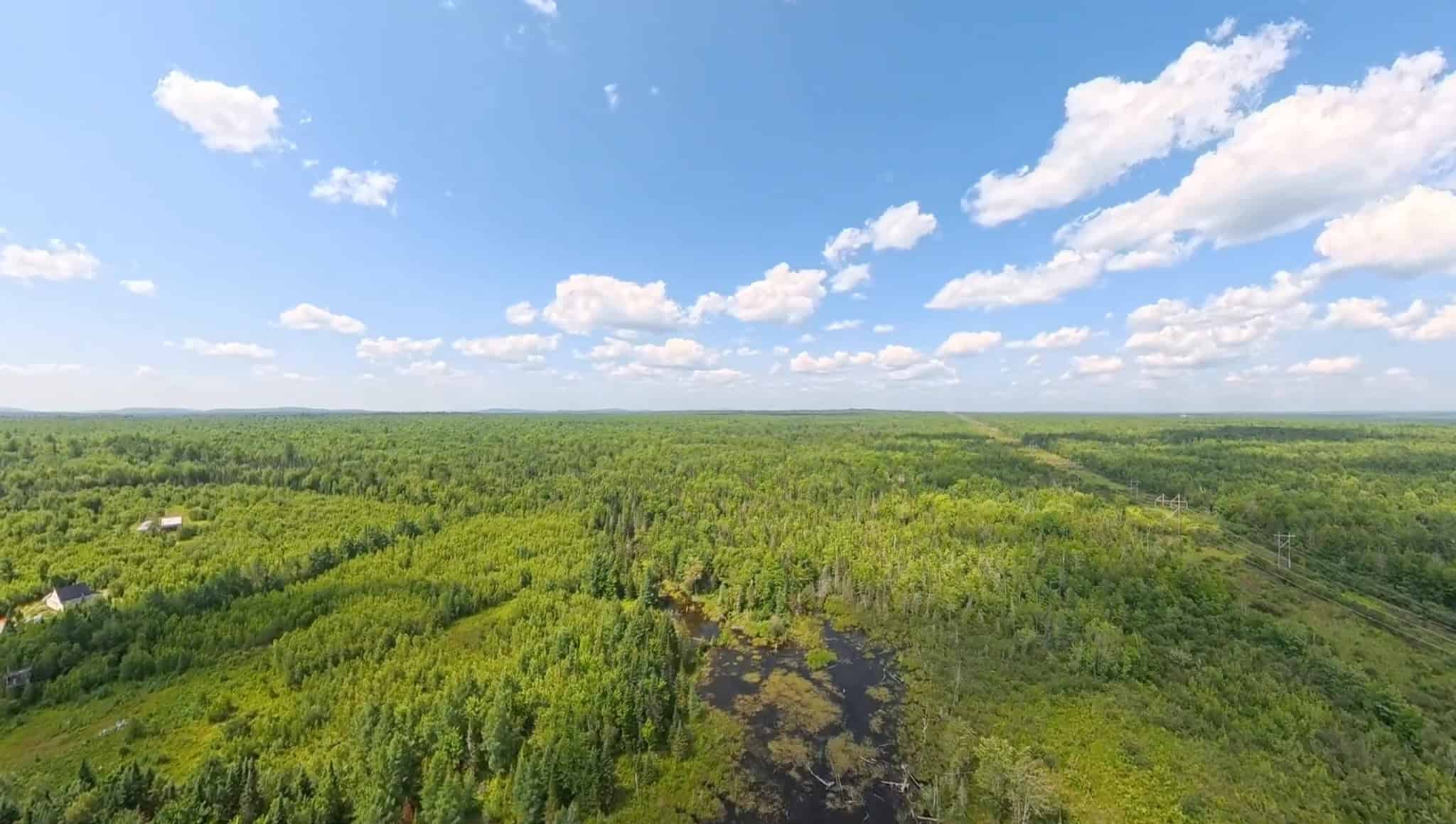 58.8 Wooded Acres with Pond – Pittsfield, Maine